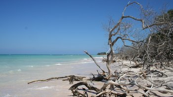 Kuba - Cayo Livisa und Havanna - Das ursprüngliche Kuba - reisen