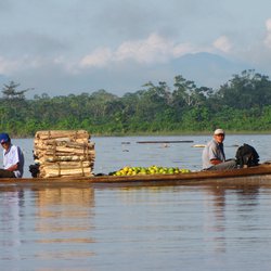 Verlängerung im peruanischen Amazonastiefland