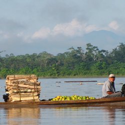 Verlängerung im peruanischen Amazonastiefland