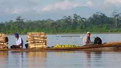 Verlängerung im peruanischen Amazonastiefland