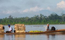 Verlängerung im peruanischen Amazonastiefland